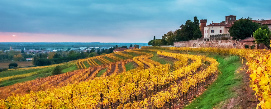 Viaggio in Italia: Udine