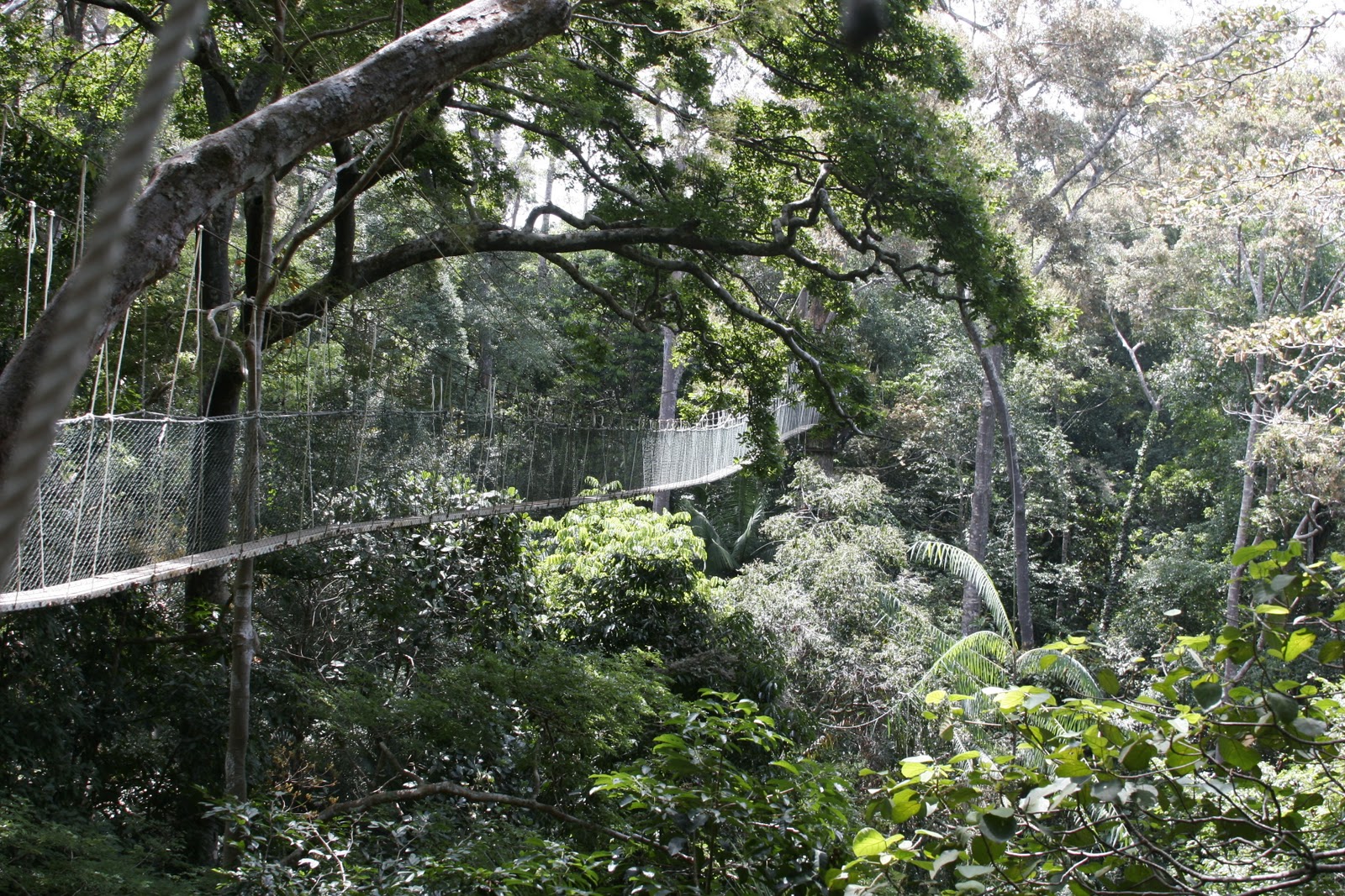 taman negara