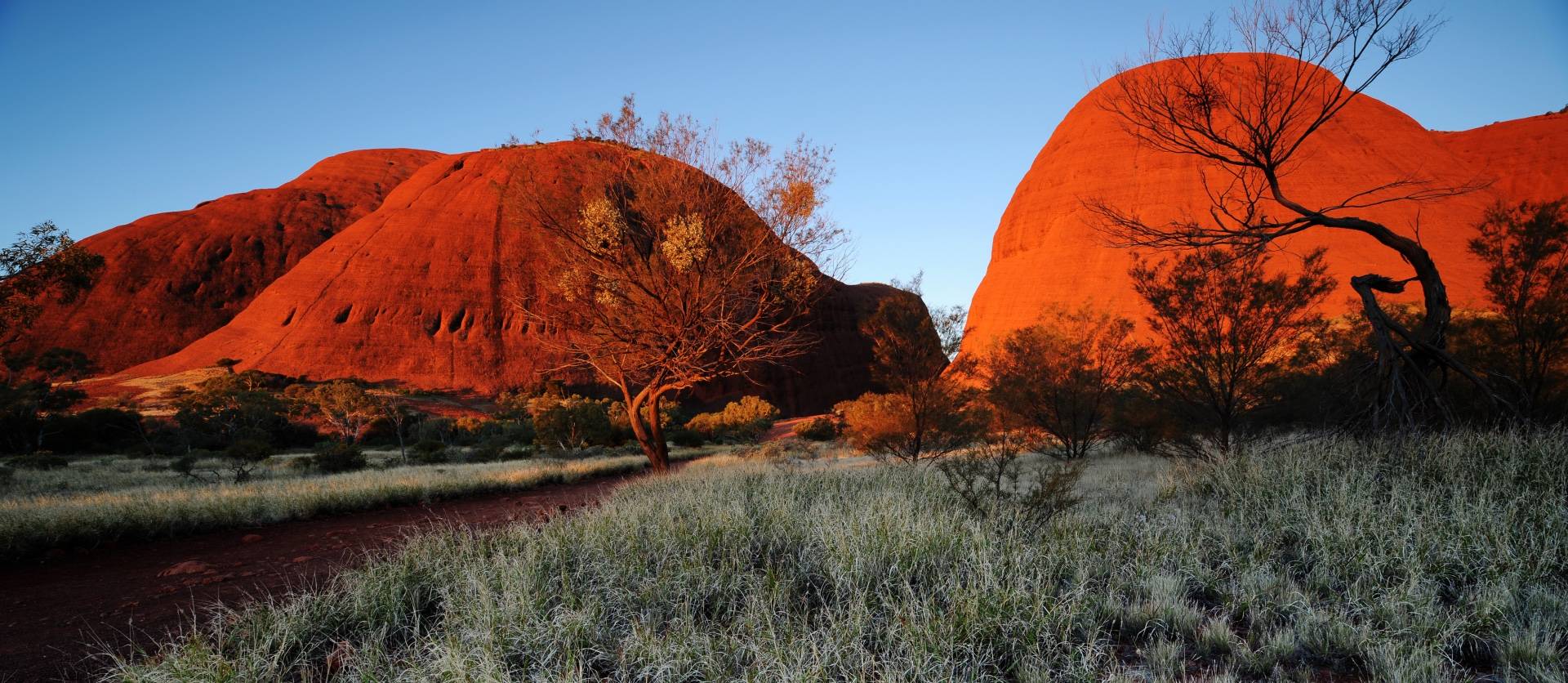 Ayers Rock