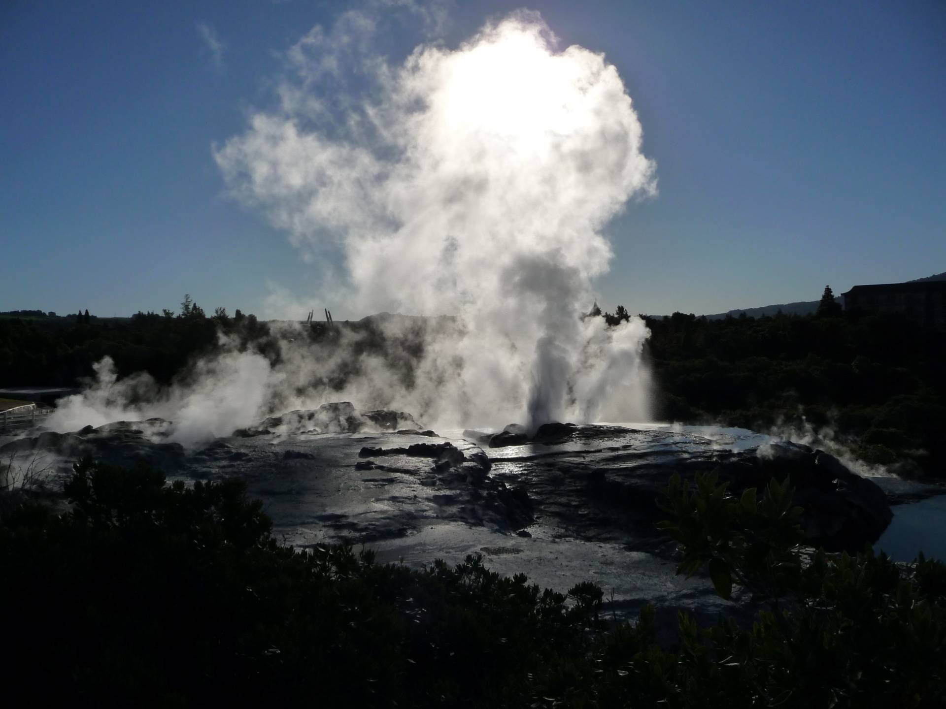 Nuova Zelanda: la terra dei geyser