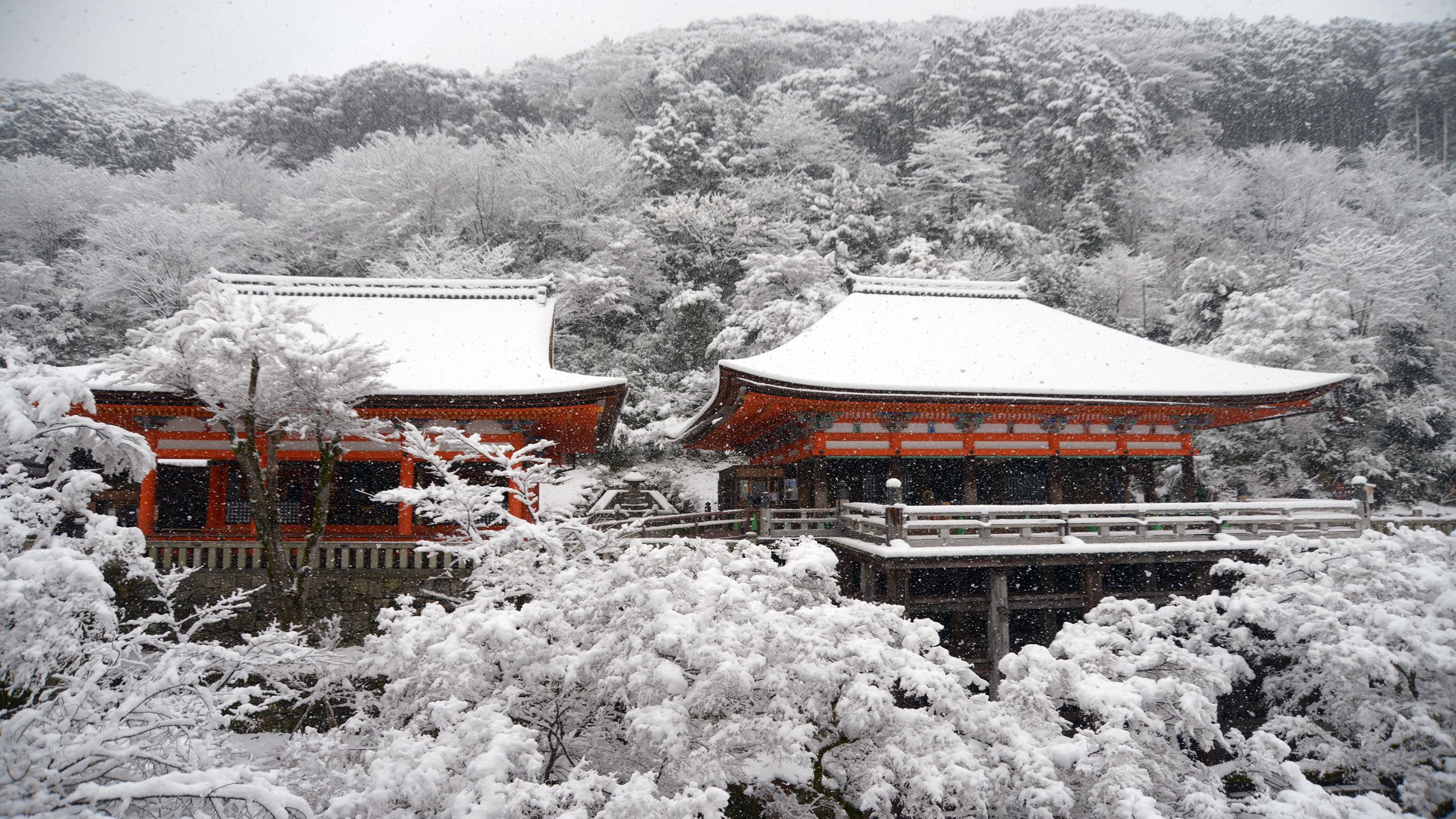 Kyoto