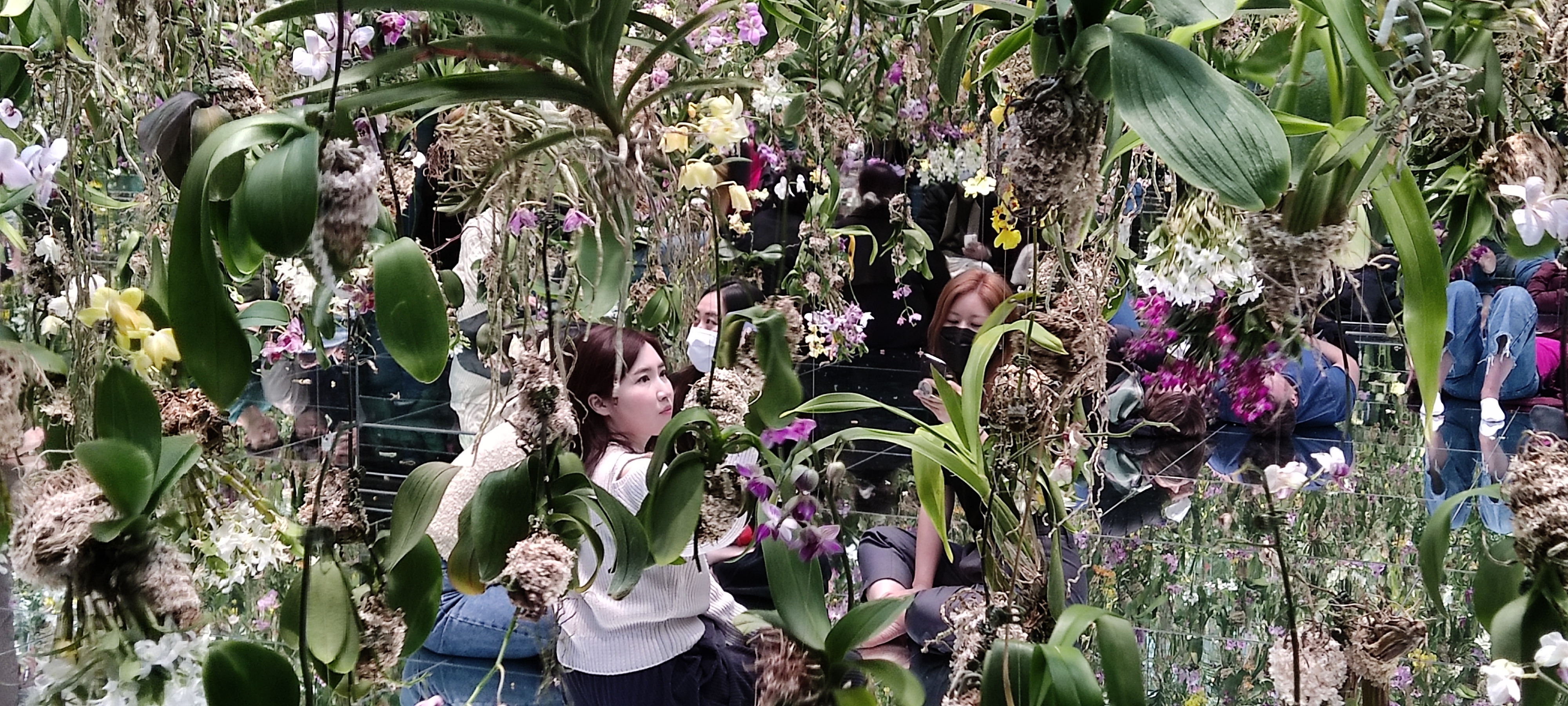 Guests exploring mirrored orchid room at teamLab Planets Tokyo