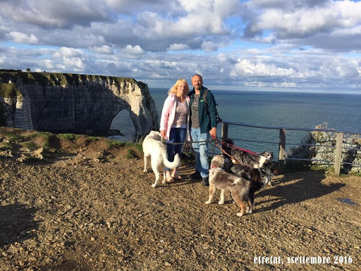 Vacanze con il cane