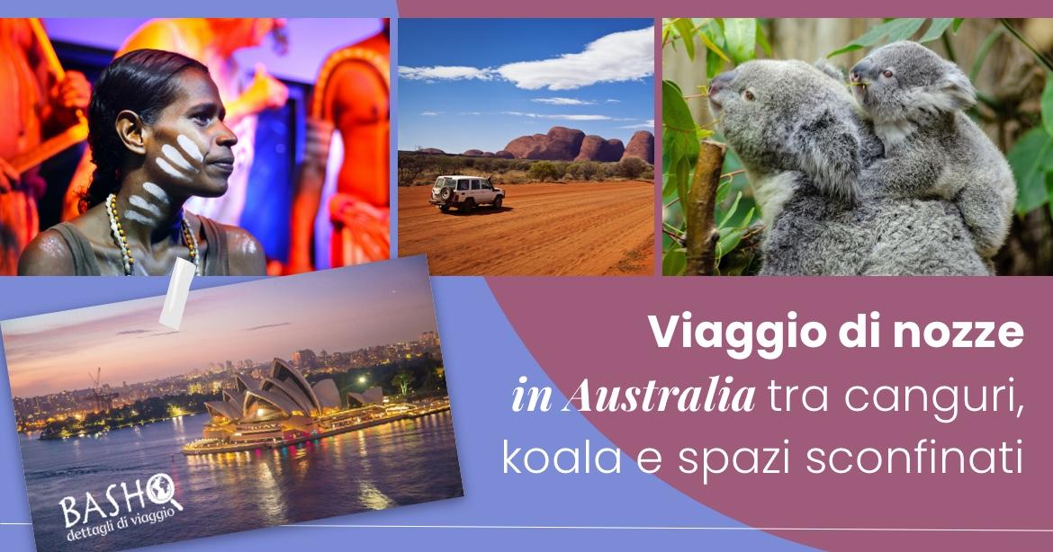 Viaggio di nozze in Australia: tra canguri, koala e spazi sconfinati