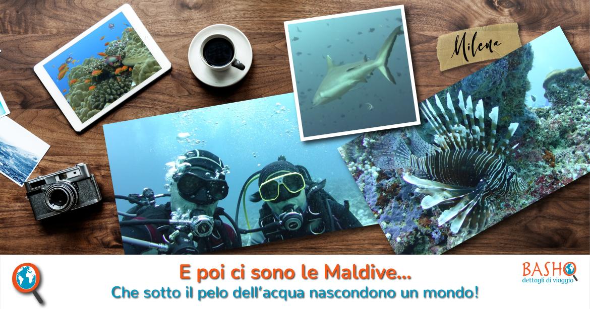 E poi ci sono le Maldive...
