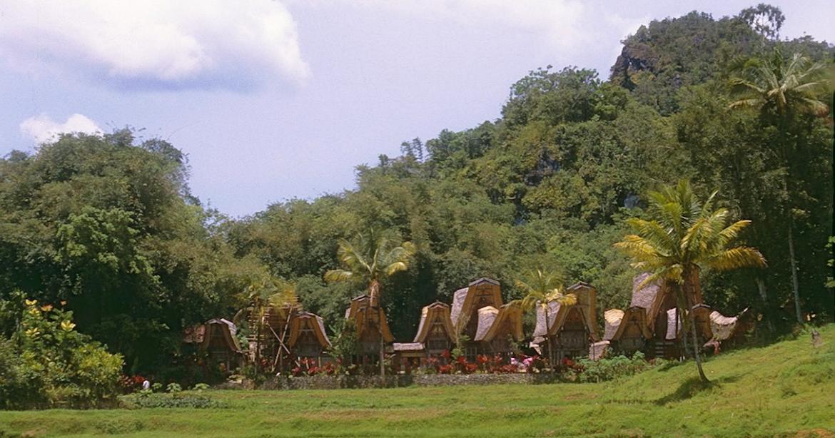 tanah toraja
