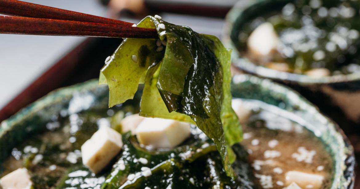 Un paio di bacchette di legno solleva una foglia di alga wakame verde con semi di sesamo da una ciotola di zuppa di miso e tofu