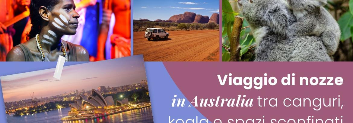 Viaggio di nozze in Australia: tra canguri, koala e spazi sconfinati