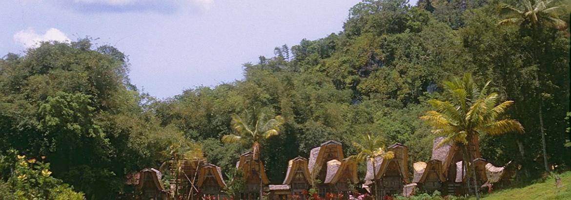 tanah toraja