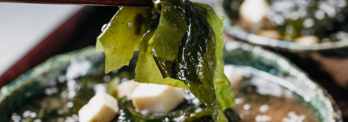 Un paio di bacchette di legno solleva una foglia di alga wakame verde con semi di sesamo da una ciotola di zuppa di miso e tofu