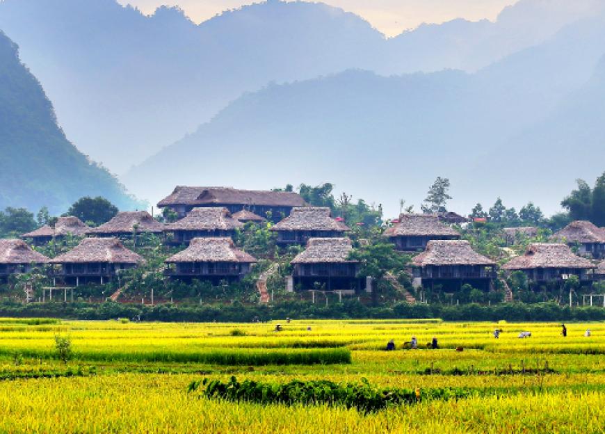 Mai Chau