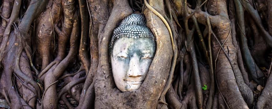 Viaggio in Thailandia: Ayutthaya