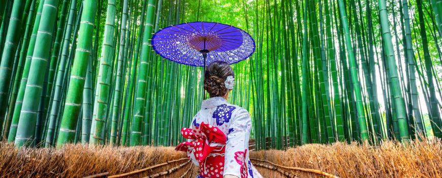 Viaggio di nozze in Giappone e Polinesia: geisha