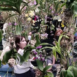 Guests exploring mirrored orchid room at teamLab Planets Tokyo