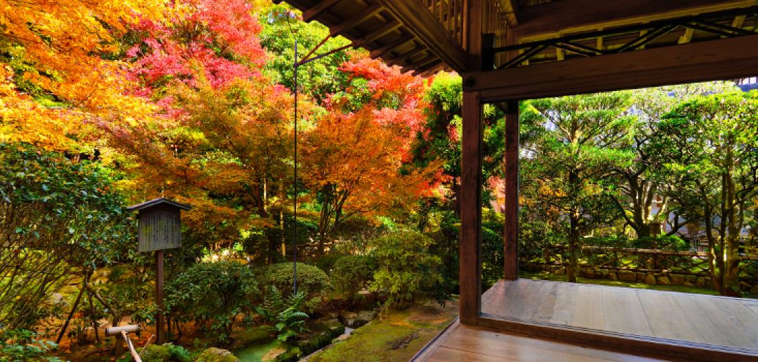 Visitare il Giappone: gli incredibili colori dei momiji | Basho viaggi