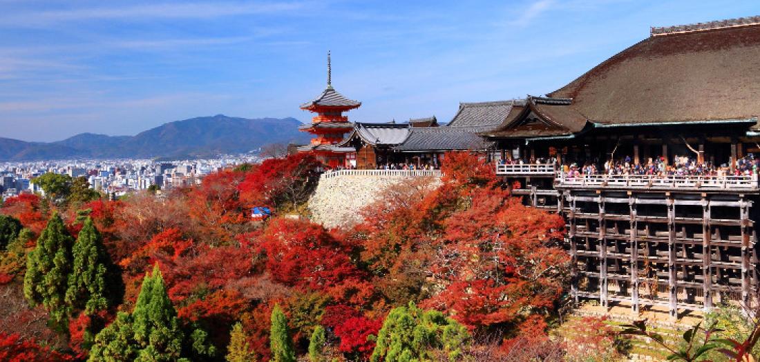 Visitare il Giappone: gli incredibili colori dei momiji | Basho viaggi
