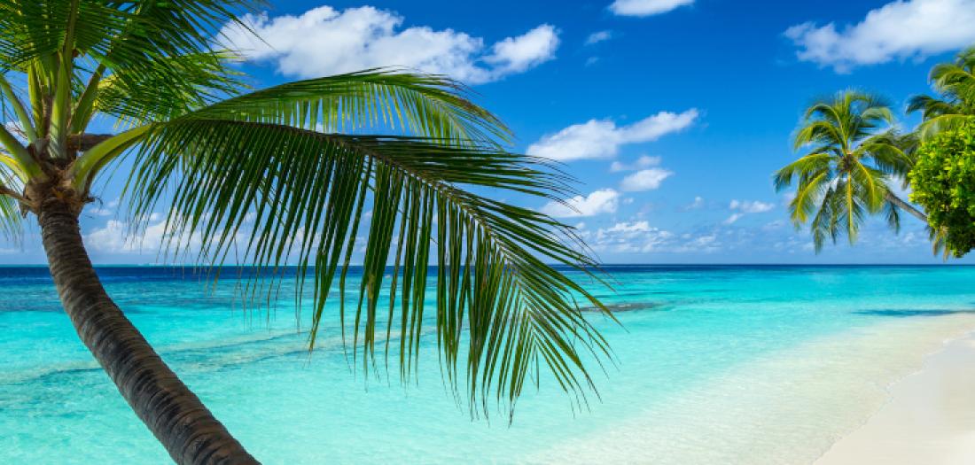 Viaggio alle Fiji: Spiaggia