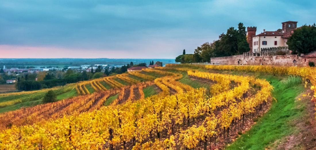 Viaggio in Italia: Udine