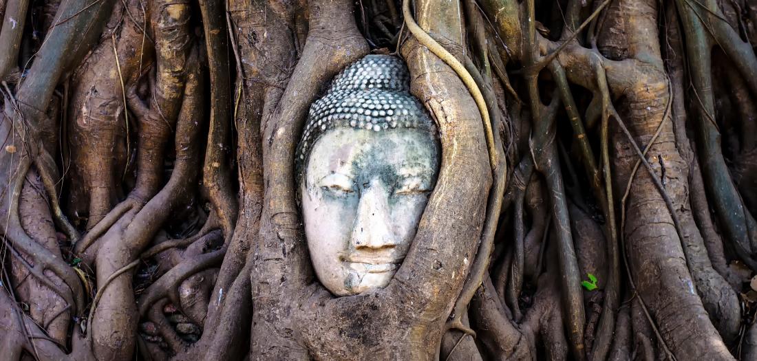 Viaggio in Thailandia: Ayutthaya