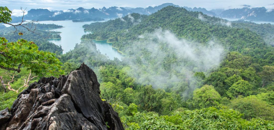 Viaggio in Thailandia: Parco del Khao Sok