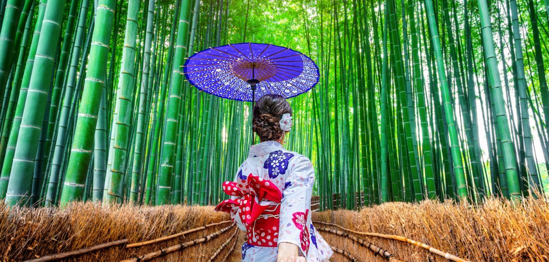 Viaggio di nozze in Giappone e Polinesia: geisha