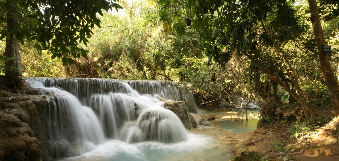 Luang Prabang: natura