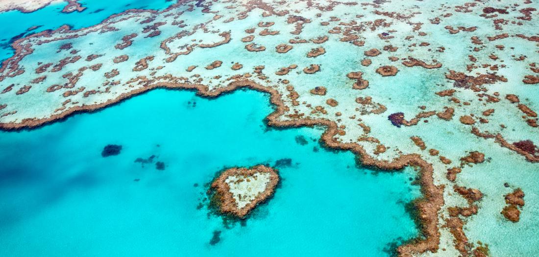 Viaggio di nozze in Australia: Barriera Corallina