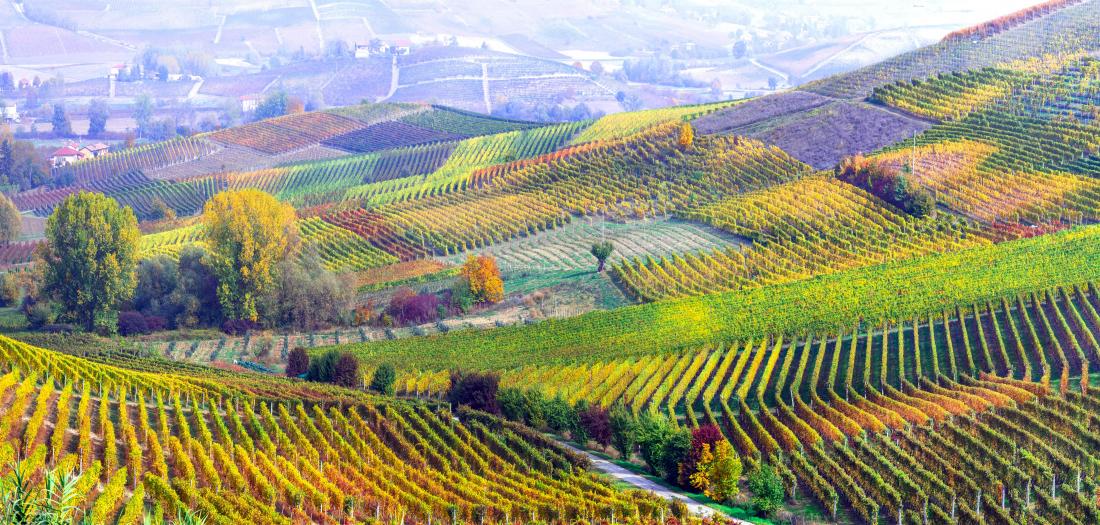 Langhe