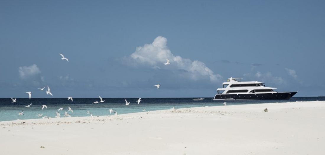 CROCIERA ALLE MALDIVE