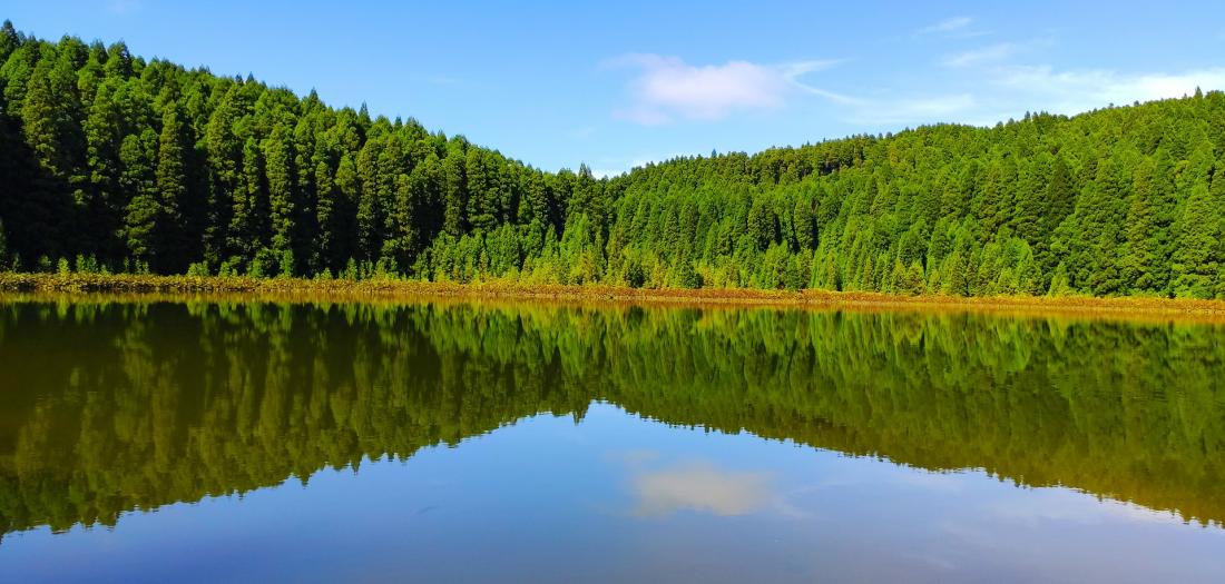 lago