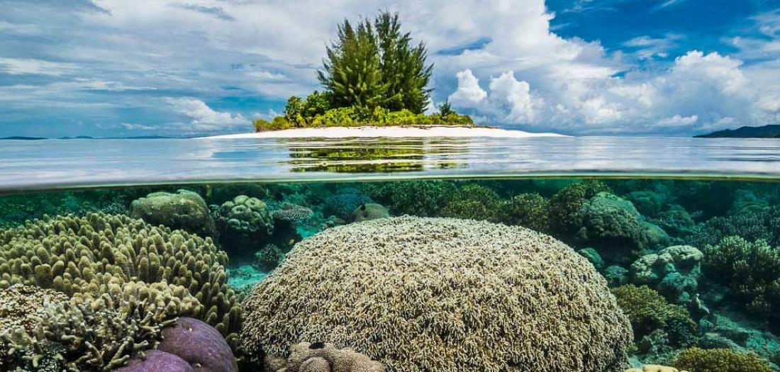 RAJA AMPAT