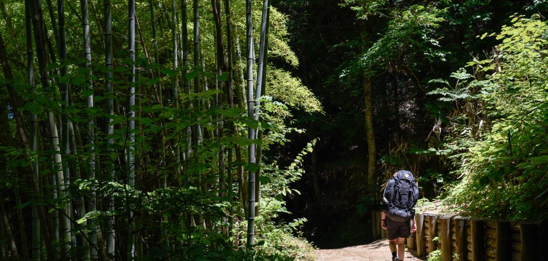 nakasendo 