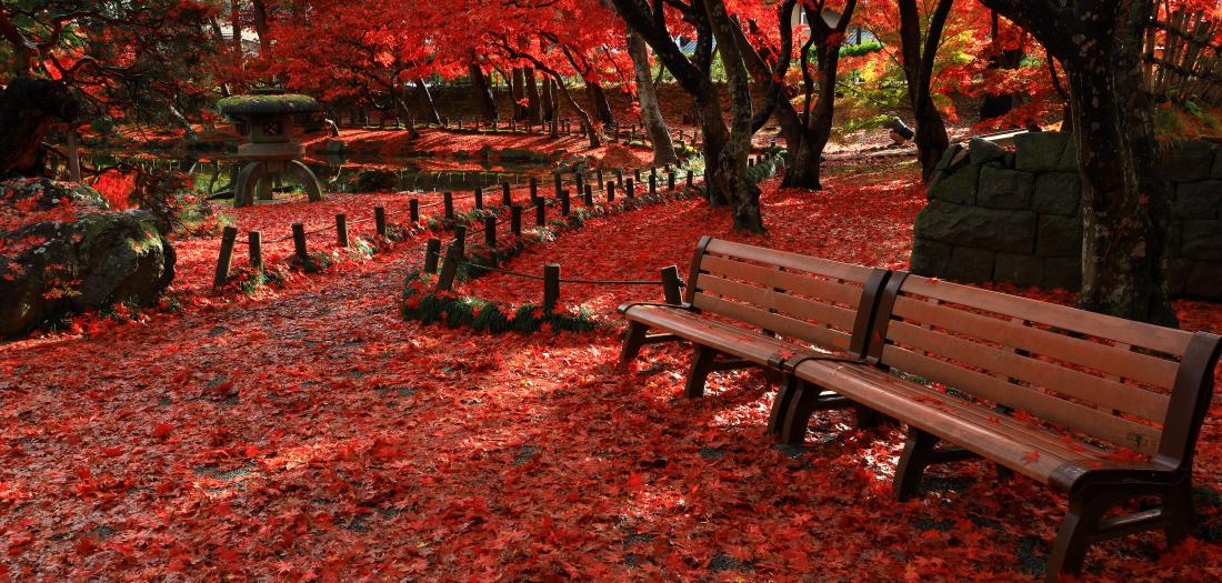 oakayama