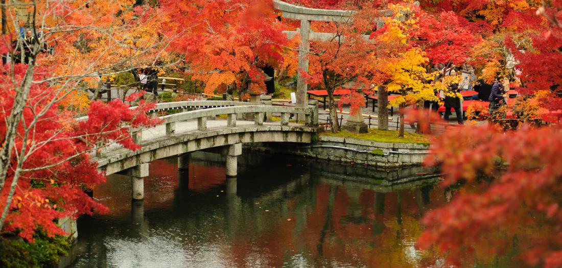 kyoto
