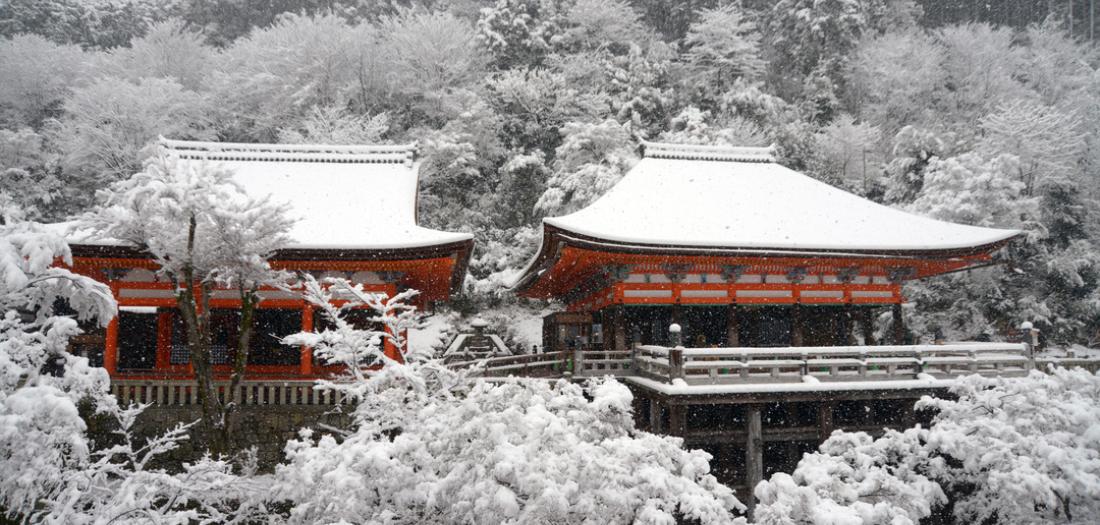 kyoto 