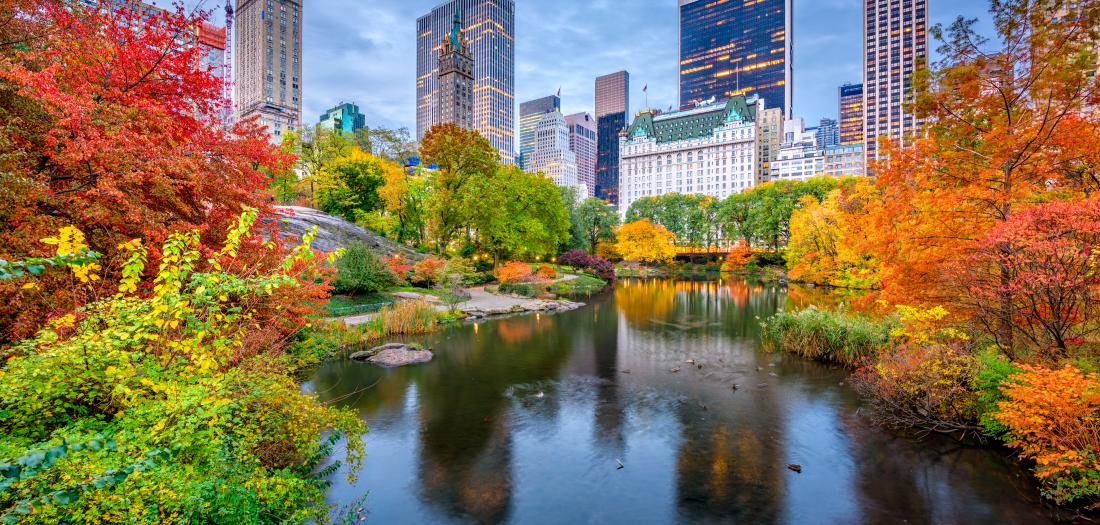 Tour di gruppo New York