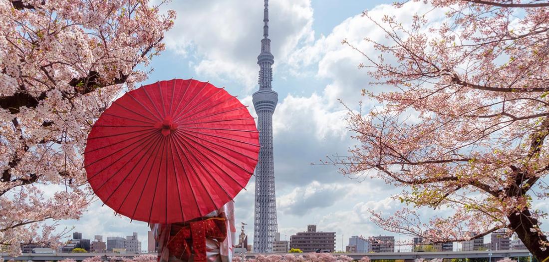 Tokyo skytree tower with sakura pink cherry blossom flower on spring season