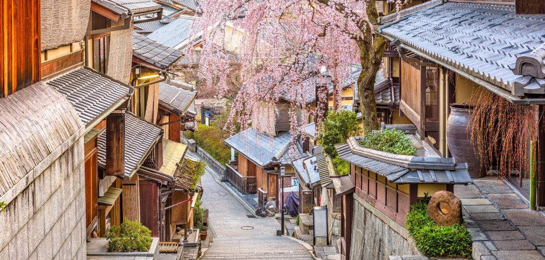 kyoto 
