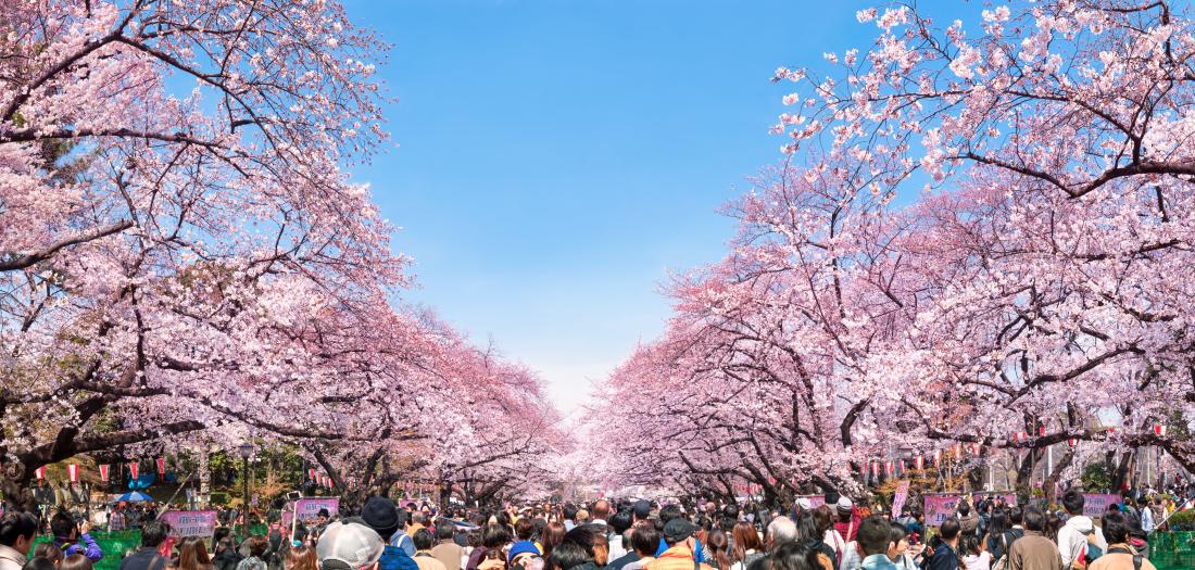 ueno park