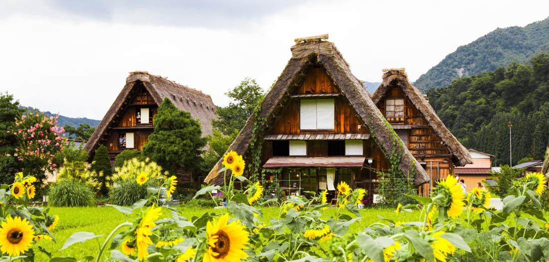 shirakawago 
