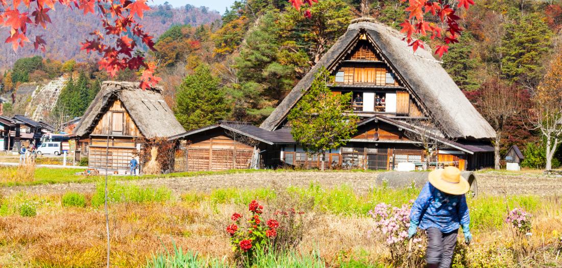 shirakawago
