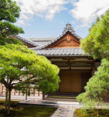 Visitare il Giappone: tecnologia e cultura a Tokyo