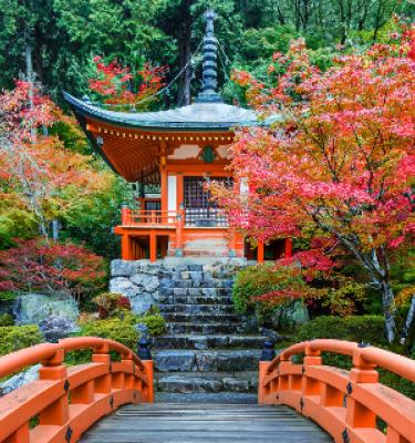 Visitare il Giappone: gli incredibili colori dei momiji | Basho viaggi