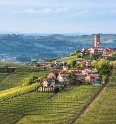 Viaggio in Italia: Langhe