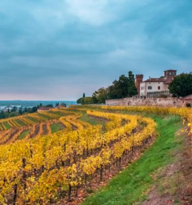 Viaggio in Italia: Udine