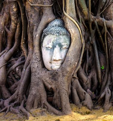 Viaggio in Thailandia: Ayutthaya