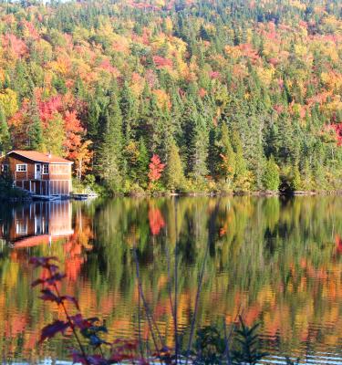 Gaspesie
