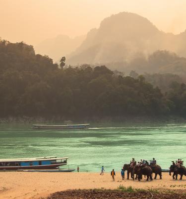 Laos: elefanti sulla spiaggia