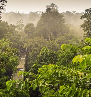 National Park Gunung Mulu