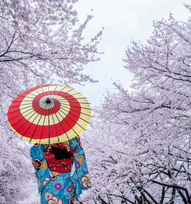 giappone hanami